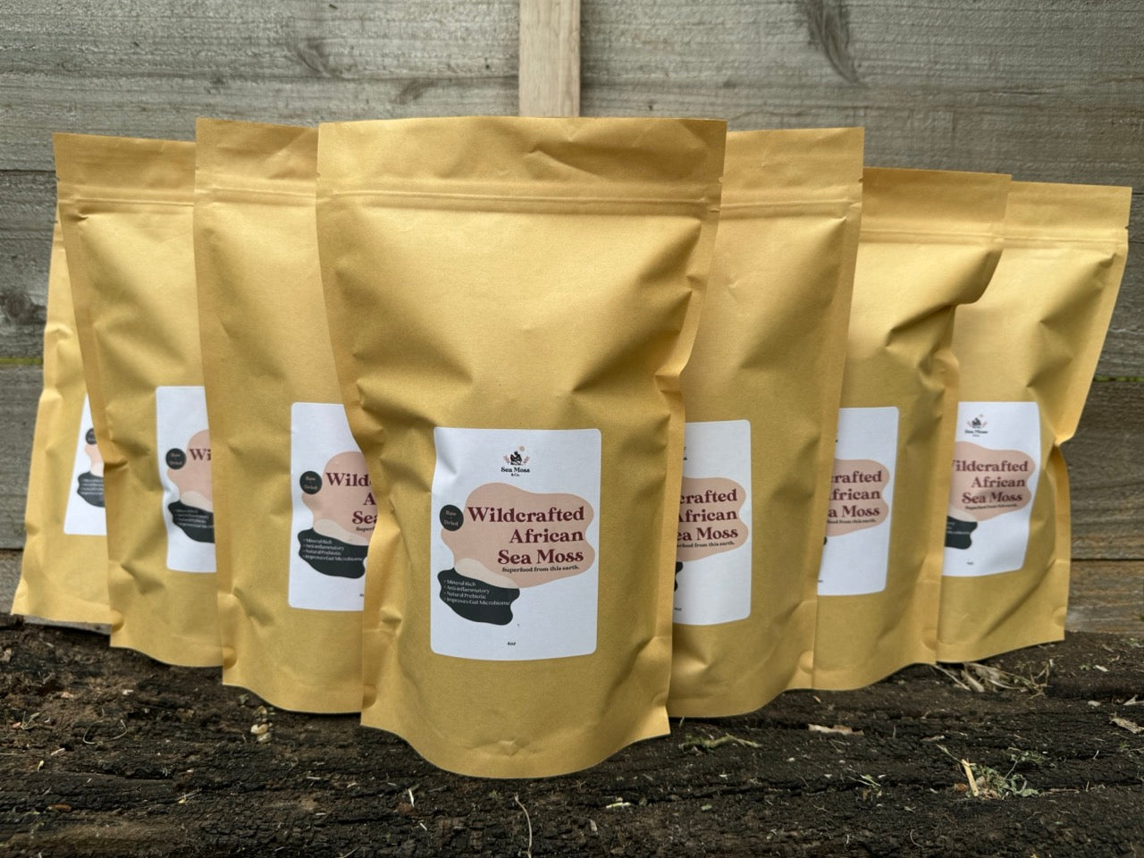 Wholesale Packaged Wildcrafted Sea Moss
