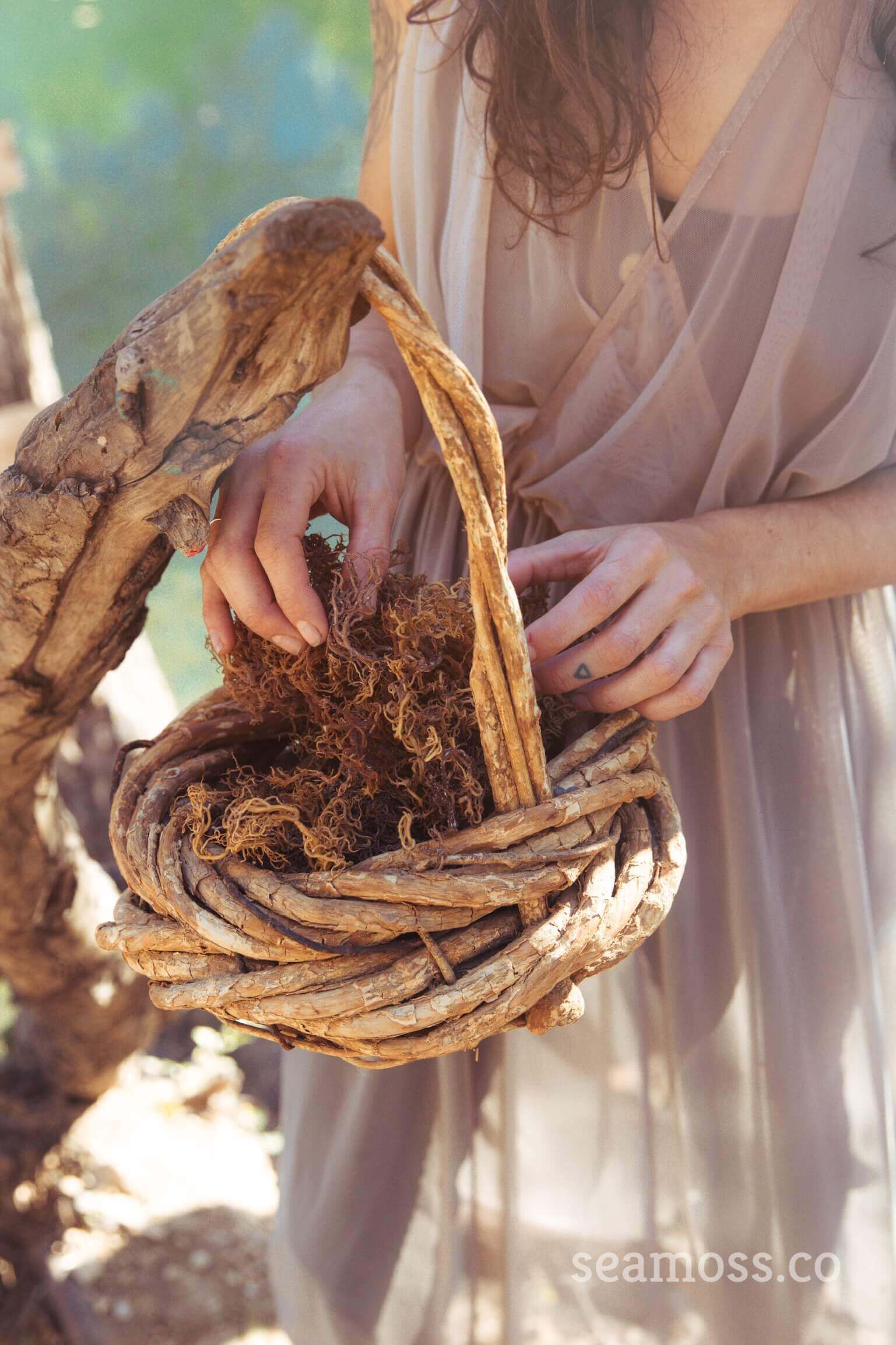 Person holding a woven basket with natural elements, blurred background