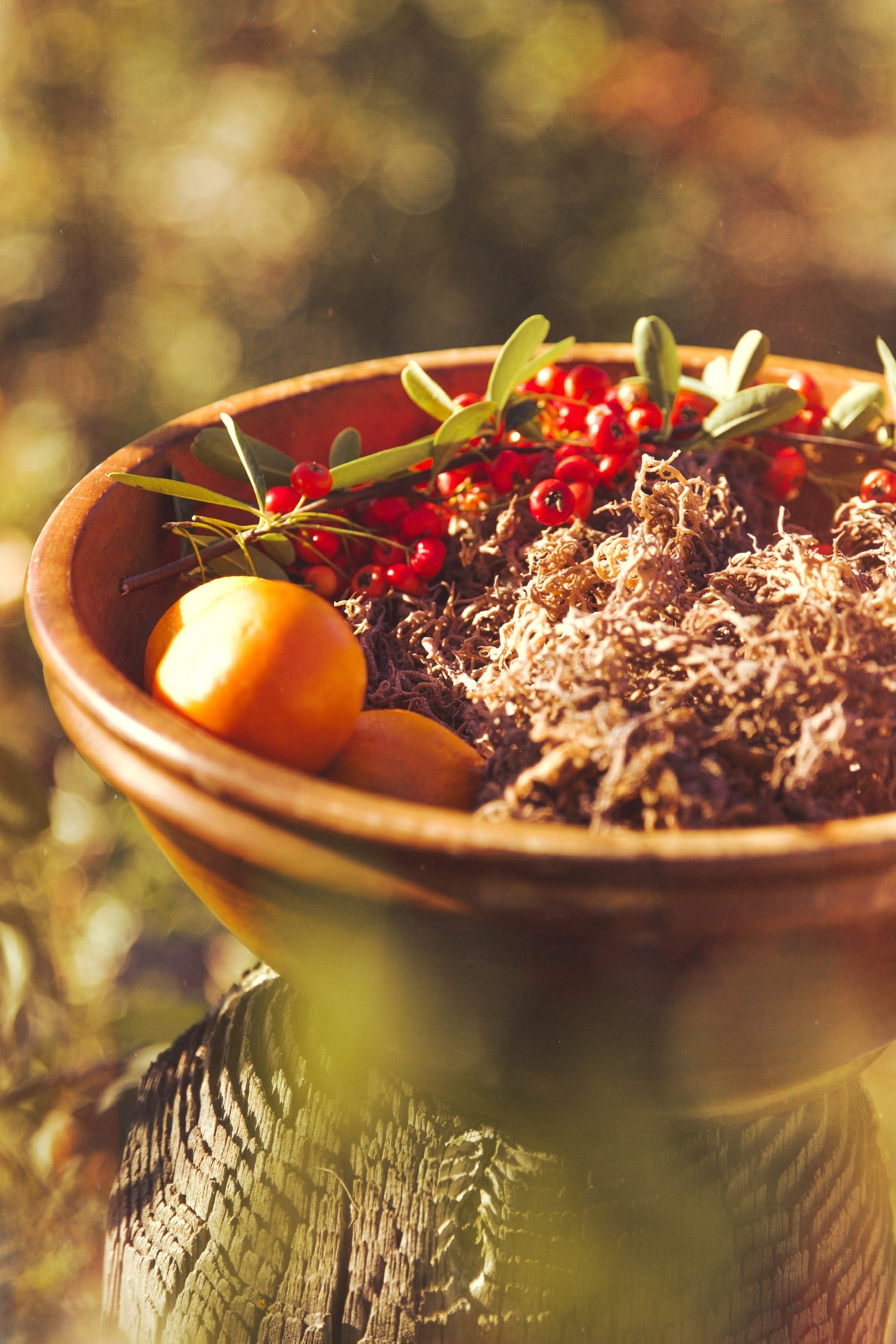 Wooden bowl with red berries and green leaves on a natural background